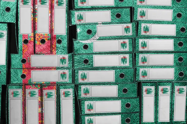 Türkmenistan Bayrak Renkleri Yığını, Bürokrasi ve Hükümet İdaresi Onayı