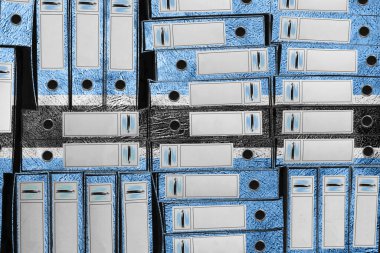 Botswana Bayrak Renkleri Dosya Yığını, Bürokrasi ve Hükümet İdaresi Onayı