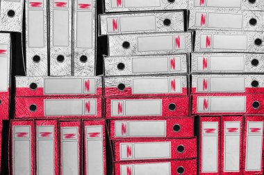 Polonya Bayrak Renkleri Dizini, Bürokrasi ve Devlet İdaresi Onayı