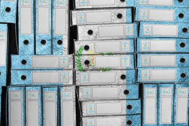 Guatemala Bayrak Renkleri Dizin Yığını, Bürokrasi ve Hükümet İdaresi Onayı