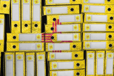 New Mexico Bayrak Renkleri Dosya Yığını, Bürokrasi ve Hükümet Yönetimi Danışmanlığı