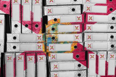 Florida Bayrak Renkleri Dosya Yığını, Bürokrasi ve Hükümet Yönetimi Danışmanlığı