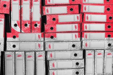 Singapur Bayrak Renkleri Dizin Yığını, Bürokrasi ve Hükümet İdaresi Onayı