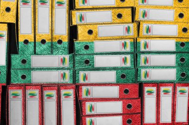 Litvanya Bayrak Renkleri Dizin Yığını, Bürokrasi ve Hükümet İdaresi Onayı