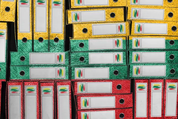 Litvanya Bayrak Renkleri Dizin Yığını, Bürokrasi ve Hükümet İdaresi Onayı