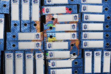 Michigan Bayrak Renkleri Dizini, Bürokrasi ve Hükümet Yönetimi Onayı