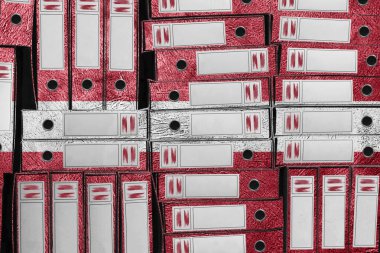 Letonya Bayrak Renkleri Dizin Yığını, Bürokrasi ve Hükümet İdaresi Onayı