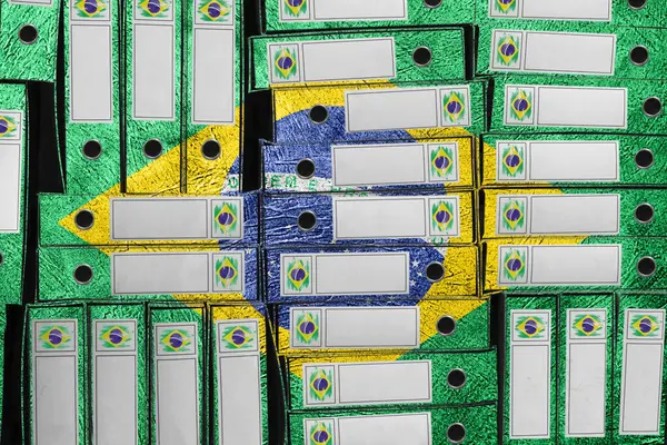 Brezilya Bayrak Renkleri Dizini, Bürokrasi ve Devlet İdaresi Onayı