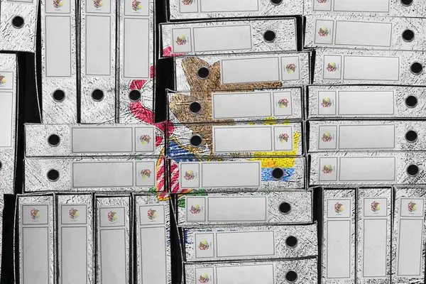 Illinois Bayrak Renkleri Dosya Yığını, Bürokrasi ve Hükümet Yönetimi Danışmanlığı