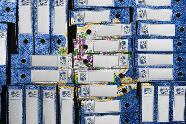 Connecticut Bayrak Renkleri Dosya Yığını, Bürokrasi ve Hükümet Yönetimi Danışmanlığı