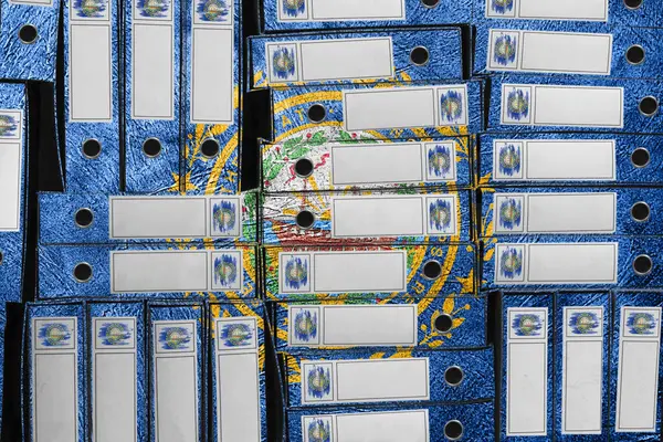 New Hampshire Bayrak Renkleri Yığını, Bürokrasi ve Hükümet Yönetimi Danışmanlığı