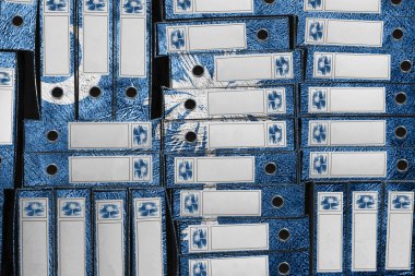 Güney Carolina Bayrak Renkleri Dosya Yığını, Bürokrasi ve Hükümet Yönetimi Danışmanlığı