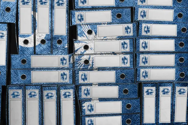 Güney Carolina Bayrak Renkleri Dosya Yığını, Bürokrasi ve Hükümet Yönetimi Danışmanlığı