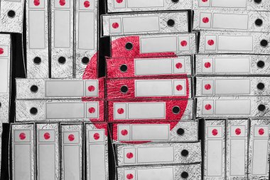 Japon Bayrak Renkleri Dizini, Bürokrasi ve Devlet İdaresi Onayı