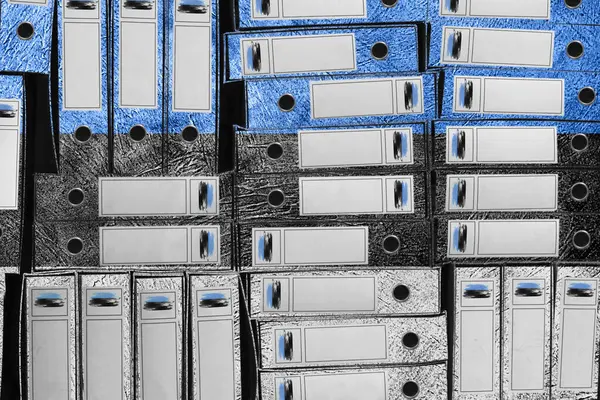 Estonya Bayrak Renkleri Dizin Yığını, Bürokrasi ve Devlet İdaresi Onayı