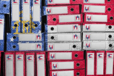 Gürcistan Bayrak Renkleri Dosya Yığını, Bürokrasi ve Hükümet İdaresi Onayı