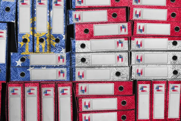 Gürcistan Bayrak Renkleri Dosya Yığını, Bürokrasi ve Hükümet İdaresi Onayı