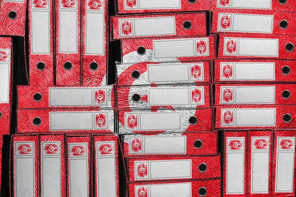 Tunus Bayrak Renkleri Dizin Yığını, Bürokrasi ve Hükümet İdaresi Onayı