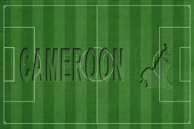 Kamerun Futbol Sahasında, Milli Takım Konsepti