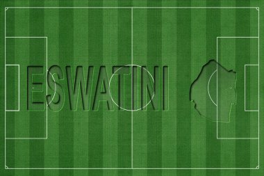 Eswatini Futbol Sahasında, Milli Takım Konsepti