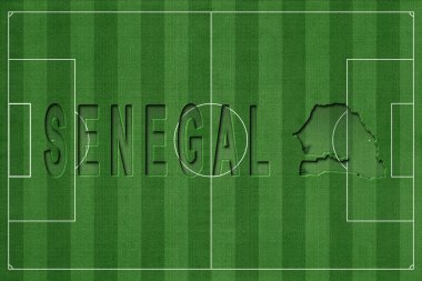 Senegal Futbol Sahasında, Milli Takım Konsepti