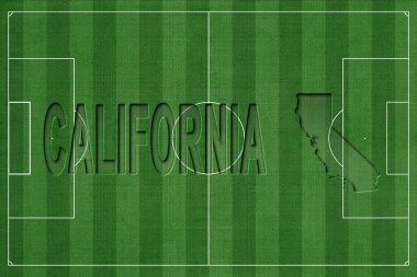 Kaliforniya Futbol Sahasında, Milli Takım Konsepti