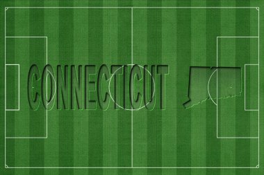 Connecticut Futbol Sahası, Milli Takım Konsepti