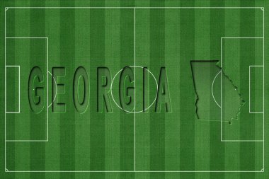 Gürcistan Futbol Sahası, Milli Takım Konsepti