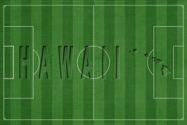 Futbol Sahasında Hawaii, Milli Takım Konsepti
