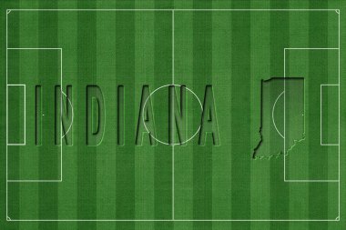 Indiana Futbol Sahası, Milli Takım Konsepti