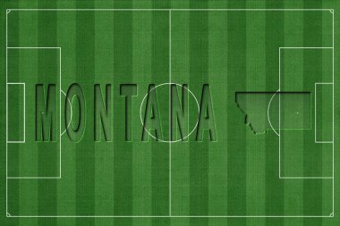 Montana Futbol Sahasında, Milli Takım Konsepti