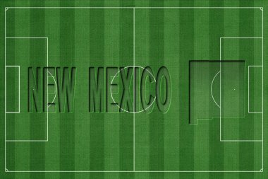 New Mexico Futbol Sahasında, Milli Takım Konsepti