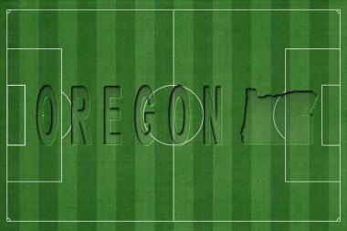 Oregon Futbol Sahası, Milli Takım Konsepti
