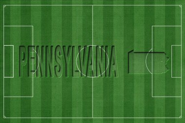 Pennsylvania Futbol Sahası, Milli Takım Konsepti