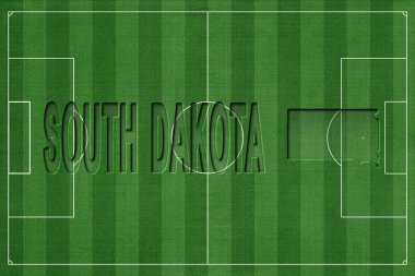 Güney Dakota Futbol Sahası, Milli Takım Konsepti