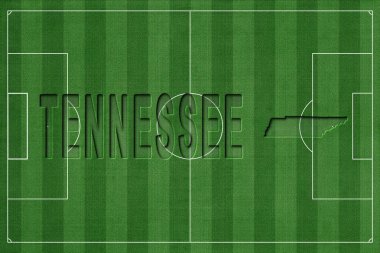 Tennessee Futbol Sahası, Milli Takım Konsepti
