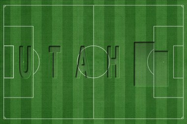 Utah Futbol Sahası, Milli Takım Konsepti