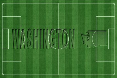 Washington Futbol Sahası, Milli Takım Konsepti