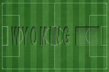 Wyoming Futbol Sahası, Milli Takım Konsepti