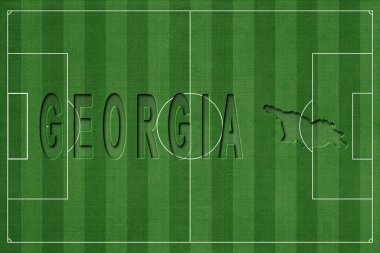 Gürcistan Futbol Sahası, Milli Takım Konsepti