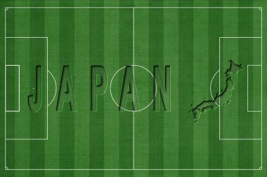 Japonya Futbol Sahasında, Milli Takım Konsepti