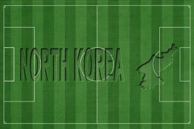 Kuzey Kore Futbol Sahasında, Milli Takım Konsepti