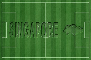 Singapur Futbol Sahası, Milli Takım Konsepti