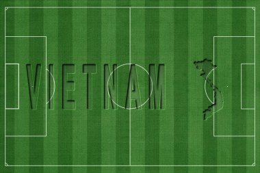 Vietnam Futbol Sahasında, Milli Takım Konsepti