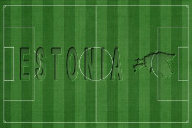 Estonya Futbol Sahası, Milli Takım Konsepti