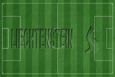 Lihtenştayn Futbol Sahası, Milli Takım Konsepti