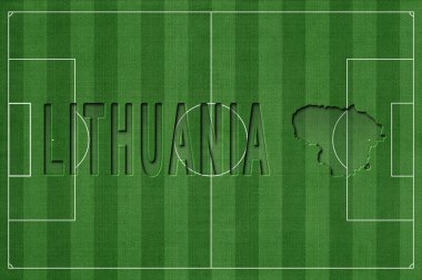 Litvanya Futbol Sahasında, Milli Takım Konsepti