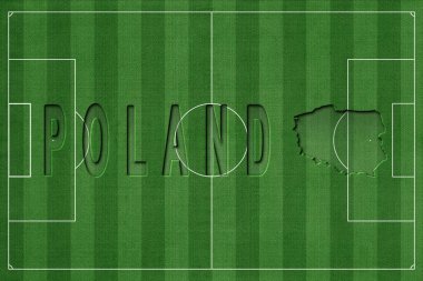 Polonya Futbol Sahası, Milli Takım Konsepti