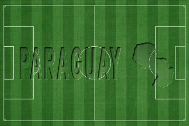 Paraguay Futbol Sahası, Milli Takım Konsepti
