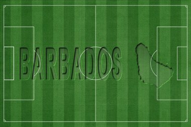 Barbados Futbol Sahası, Milli Takım Konsepti